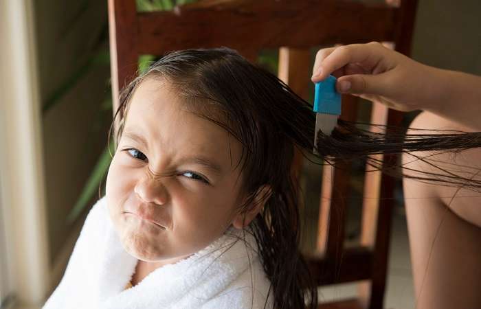 criança com piolhos sendo removidos com pente fino