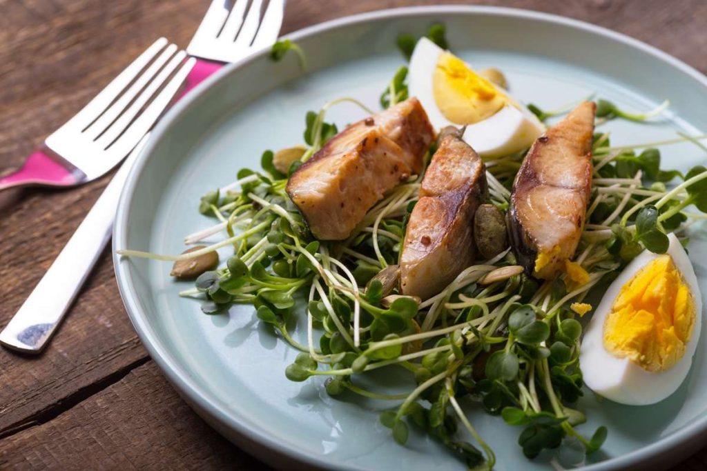 Consumo-de-proteina-equilibrio